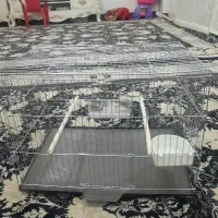 قفس