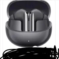 ارپاد مامله با کفتر طوق یا سبز