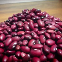 لوبیا درجه یک