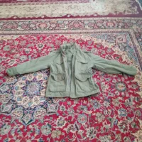 آورکدآمریکایی