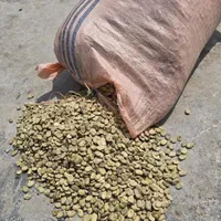 باقلای خشک درجه یک امسالی|خوردنی و آشامیدنی|بهشهر, |دیوار