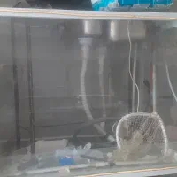 فروش آکواریوم کباب ماهی|فروشگاه و مغازه|مریوان, |دیوار