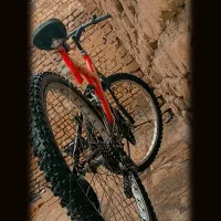 دوچرخه 26|دوچرخه، اسکیت، اسکوتر|تربت‌حیدریه, بی بی حسنیه|دیوار