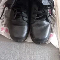 دوهفته پوتین