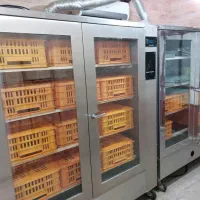 پکیج کامل جوجه کشی شترمرغ|لوازم جانبی حیوانات|کاشان, نوش آباد|دیوار