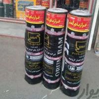 ایزوگام