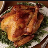 سفارش غذا آماده برای مراسم ها|خدمات پذیرایی، مراسم|مراغه, |دیوار