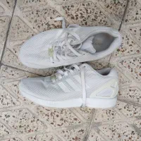 zx فلوکس