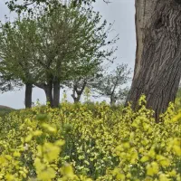 راهنمایی