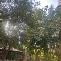 آپارتمان ۱۰۰ متری شیراز جنوبی
