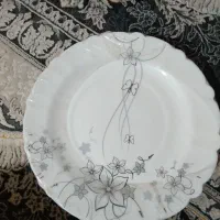 دو دست سرویس آرکوپال رکسنا