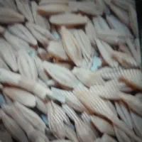 جو محلی