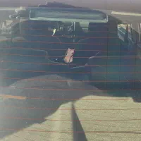 پراید۱۴۱|خودرو سواری و وانت|مرودشت, مسجد رسول‎|دیوار