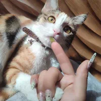 کلینیک دامپزشکی دامپزشک واکسن