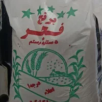 برنج فجر