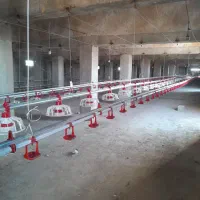 لوازم مرغداری کلیه تجهیزات|ماشین‌آلات صنعتی|لوشان, |دیوار