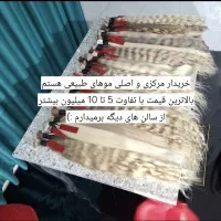 فروش مو 55 سانت به بالا5تا10میلیون بالاتراز همه جا