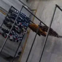 فوری فروش رگال لباس وتولیدی