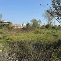 زمین 200متری