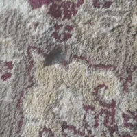 فرش ۱۲متری واسه خانه باغ یا خونه دوسه جاش سوخته|فرش|کاشان, الغدیر|دیوار