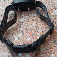 قلاده ضد واق|لوازم جانبی حیوانات|تهران, مختاری|دیوار