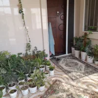 منزل دو طبقه|فروش خانه و ویلا|وحدتیه, |دیوار