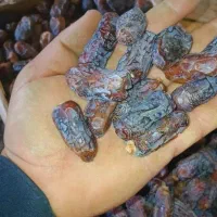 دارابی|حراج|داراب, |دیوار