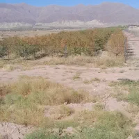 زمین فروشی|فروش زمین و ملک کلنگی|تسوج, |دیوار