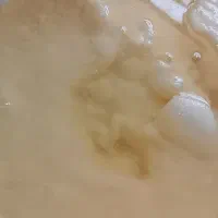 روغن دنبه مخلوط با شحله ارگانیک و بدون افزودنی|خوردنی و آشامیدنی|مشهد, کوی المهدی|دیوار