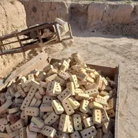 اجرسه گل زردویک رنگ