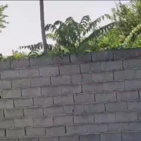 زمین مسکونی ۶۰۰ متری بالاگتاب