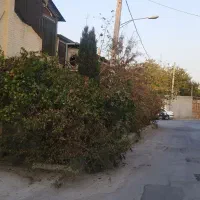 فروش باغ رستوران درچه|فروش مغازه و غرفه|خمینی‌شهر, |دیوار