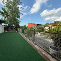 استخدام کارگر برای مجموعه پرورش سگ