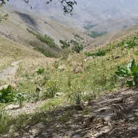 زمین فروشی بمساحت 9000مترمربع