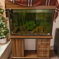 اکواریوم سالم با میز ام دی اف ابعار ۱۰۰×۸۰×۳۰