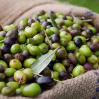 زیتون سبز (خام )