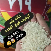خرید مناسب در فروشگاه  برنج کامنوش قیمت فقط|خوردنی و آشامیدنی|دوگنبدان, |دیوار
