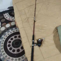 لنسر ماهی گیر درحدنو