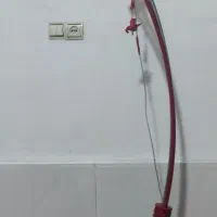 آباژور بزرگ