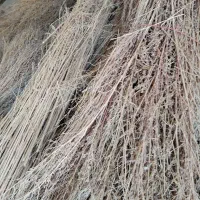 جارو شهرداری|لوازم نظافت|نهاوند, |دیوار