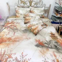 کالای خواب زیبا