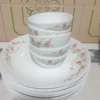 بشقاب آرکوپال و بستنی خوری