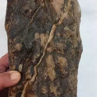 سنگ مشکوک به شهاب