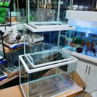 آکواریوم شیشه خم شرکتی دلساوآکوا باارسال|ماهی|تهران, تولید دارو|دیوار