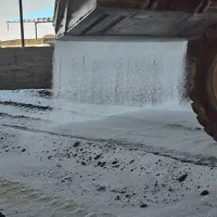 کود آلی فرآوری شده|خدمات باغبانی و درختکاری|آران و بیدگل, |دیوار