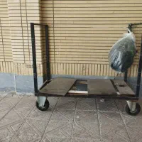 گاری یا همون ۴چرغ