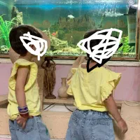 آکواریوم با تمام تجهیزات به فروش میرسد