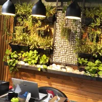 باریستا پاره وقت