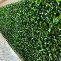 چمن مصنوعی|گل مصنوعی|قم, سراجه (۱۵ خرداد)|دیوار