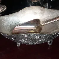 اجیل خوری سیلور